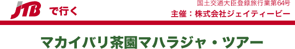 インド　マハラジャツアー