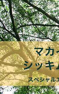 紅茶農園エコツアー