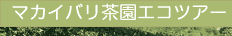 ダージリン茶園ツアー