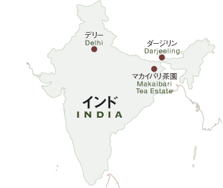インド マカイバリ 紅茶 エコツアー