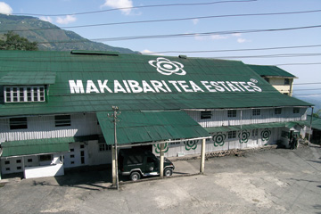マカイバリ茶園