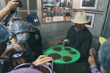 マカイバリ茶園
