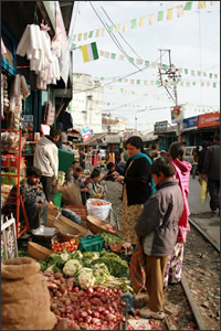 カーシオン　Kurseong