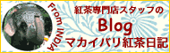 インド駐在ブログ